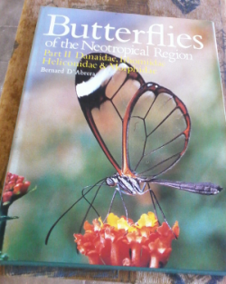 Butterflies of the Neotropical Region,Part. II: Danaidae,Ithomiidae,Heliconidae & Morphidae